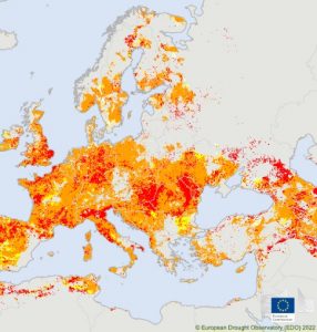 Calor e seca vão continuar a castigar a Europa