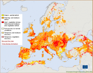 Seca na Europa é a pior em 500 anos