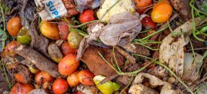 Perda e o desperdício de alimentos, um desafio global