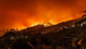 França teme "verão de fogo" e prepara brigadas