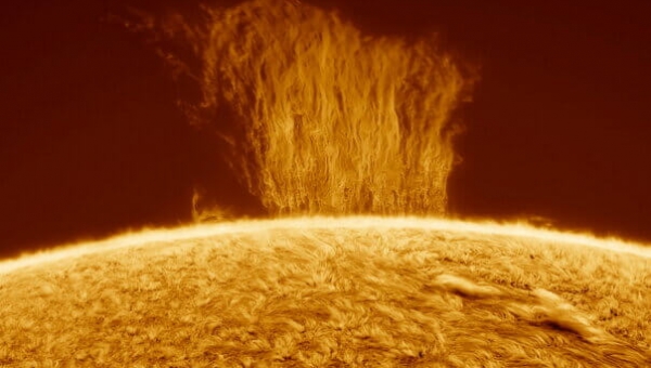 Astrônomo flagra parede de plasma de 100 mil quilômetros de altura na superfície do sol