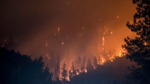 Calor e Seca na Europa: Incêndios florestais devem se multiplicar na Europa 