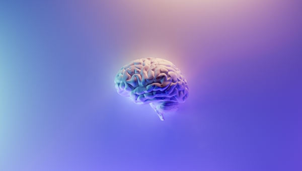 Inteligência artificial desvenda segredos do cérebro humano