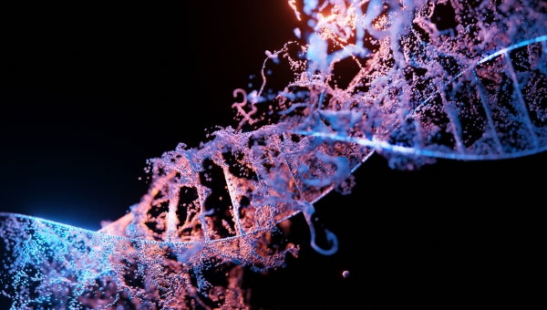 Pangenoma revela dados mais diversos dos seres humanos